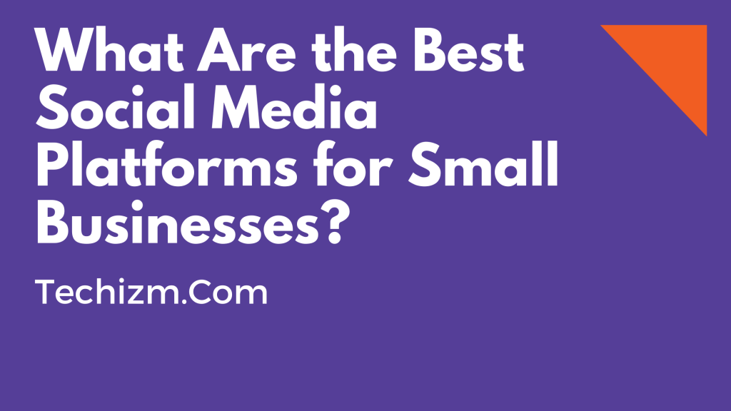 What Are the Best Social Media Platforms for Small Businesses?